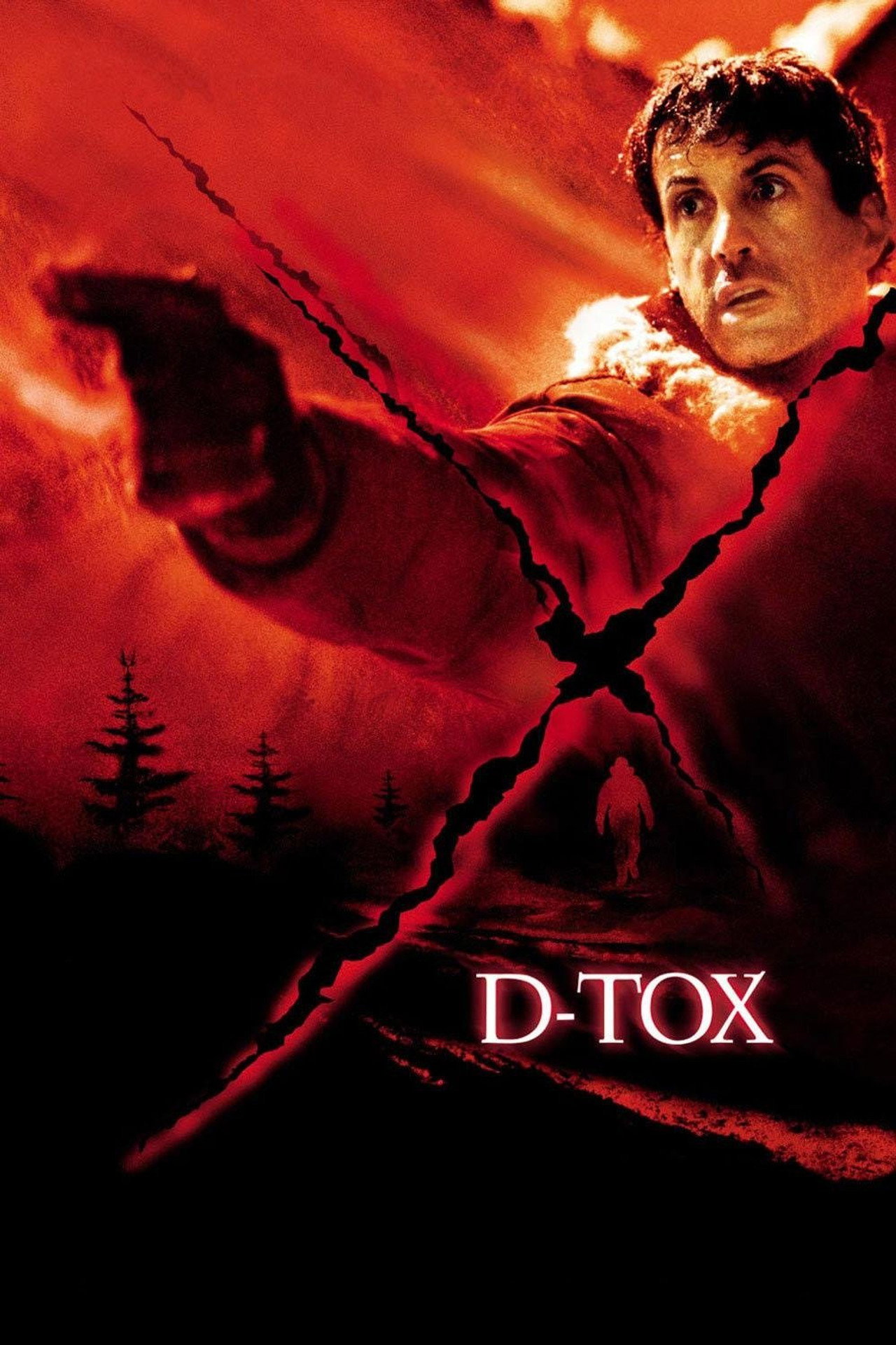 Pôster de D-Tox
