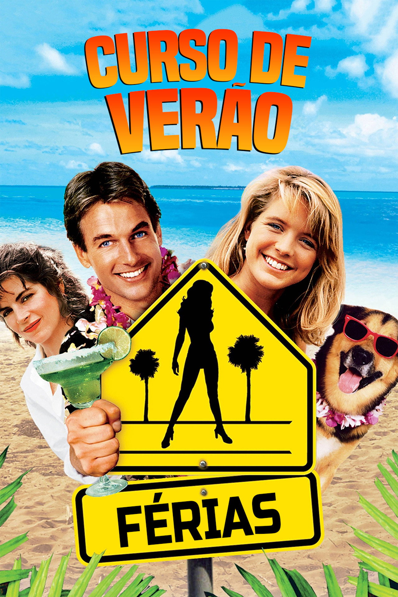 Pôster de Curso de Verão