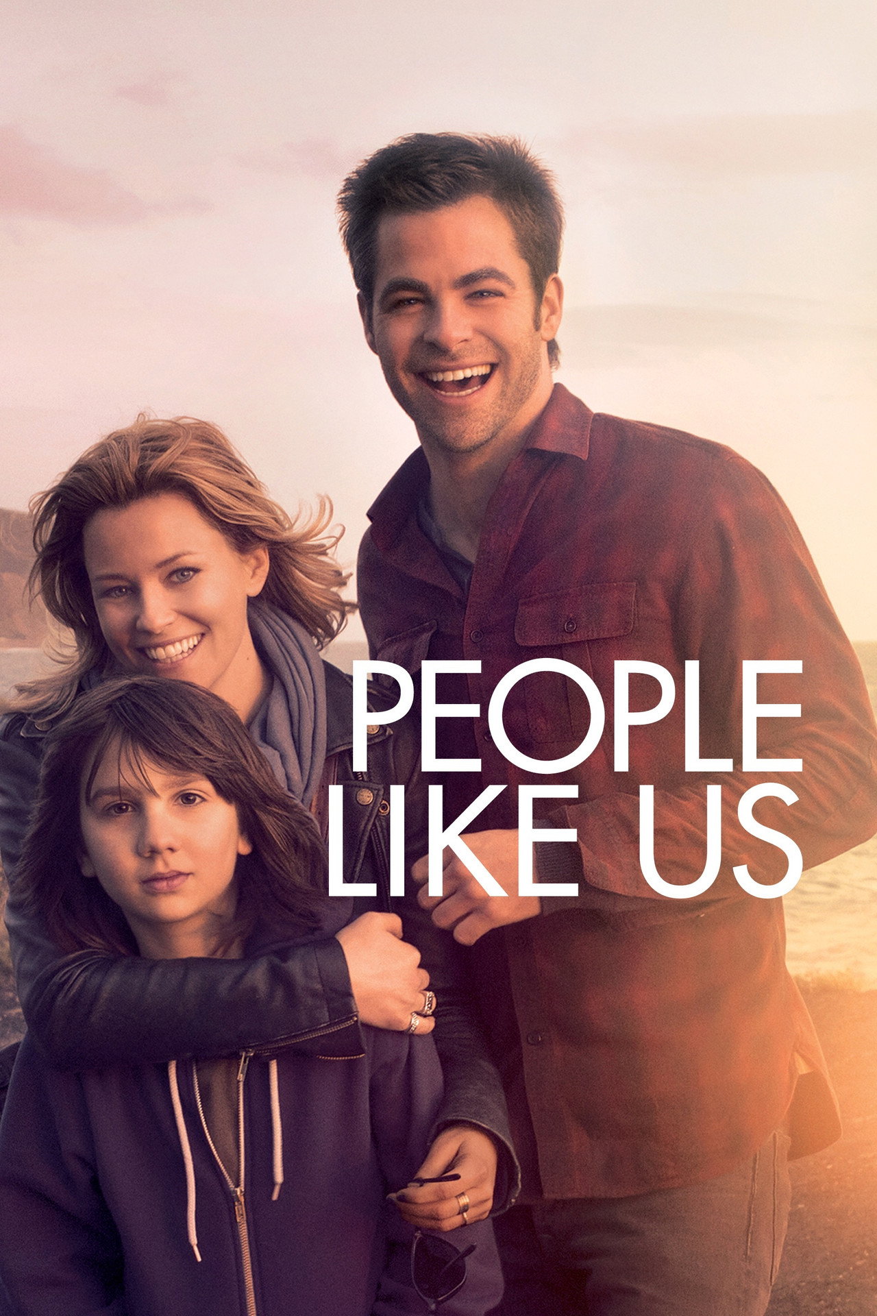 Pôster de People Like Us