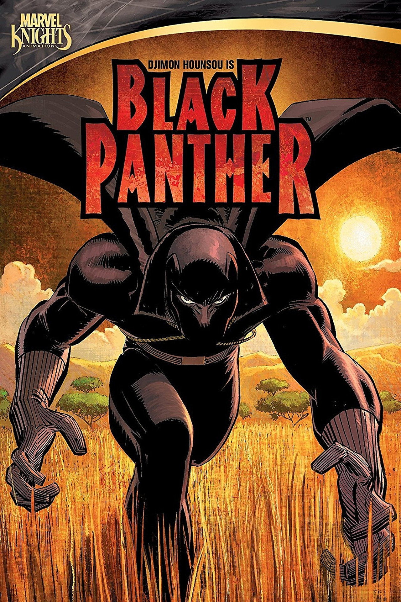 Pôster de Pantera Negra