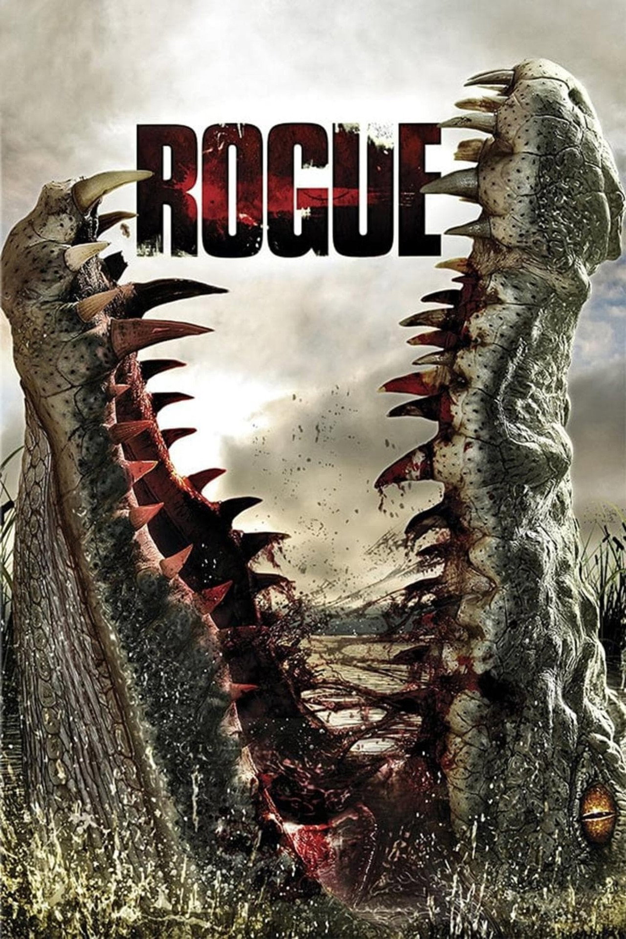 Pôster de Rogue