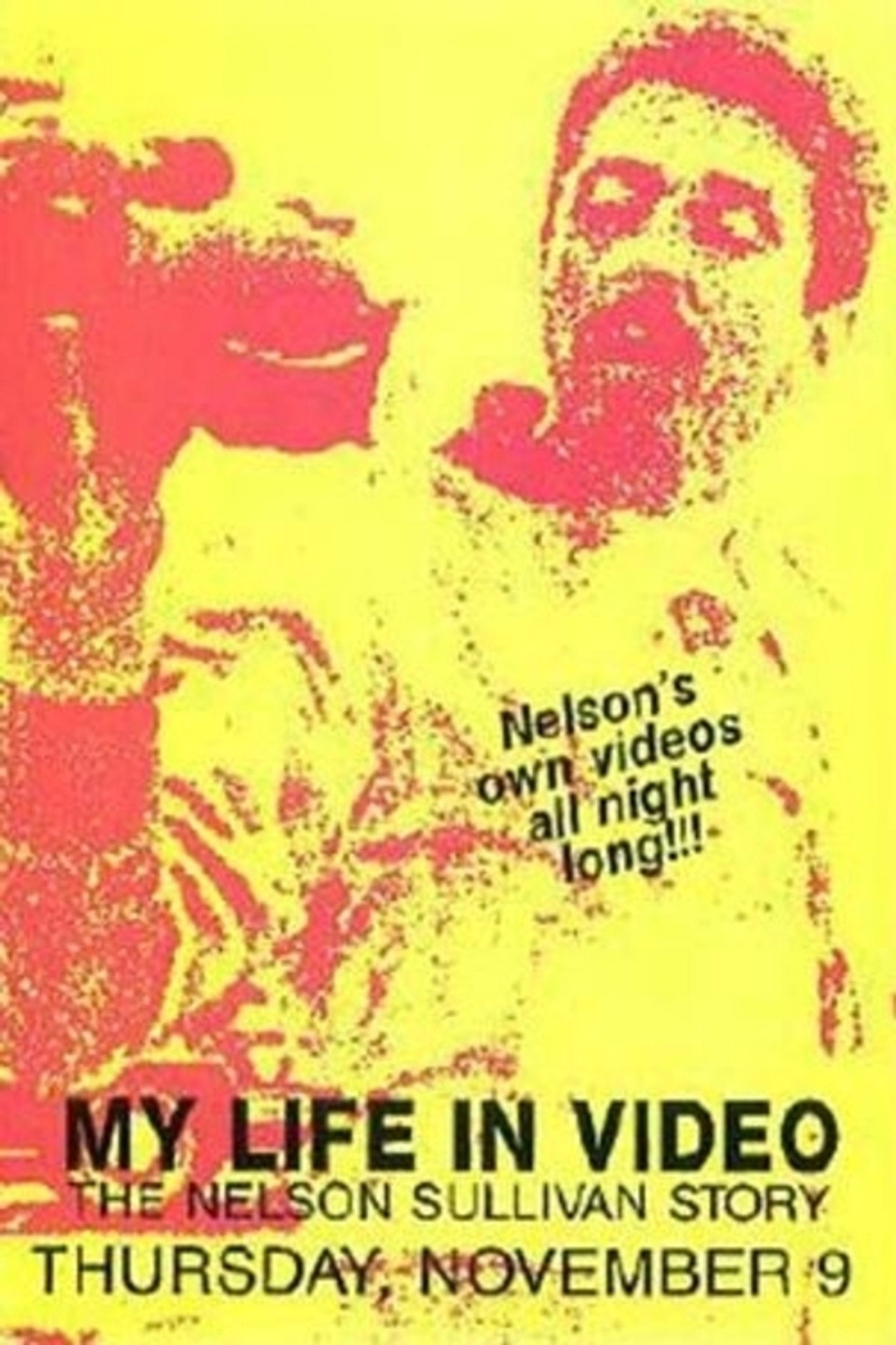 Pôster de Nelson Sullivan's Video Diaries