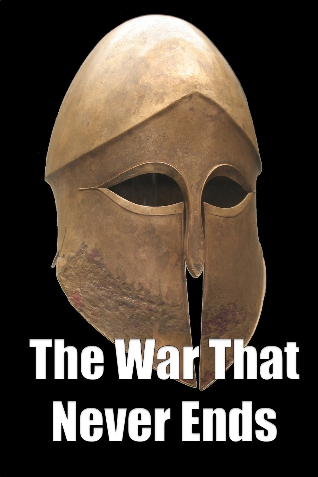 Pôster de The War That Never Ends