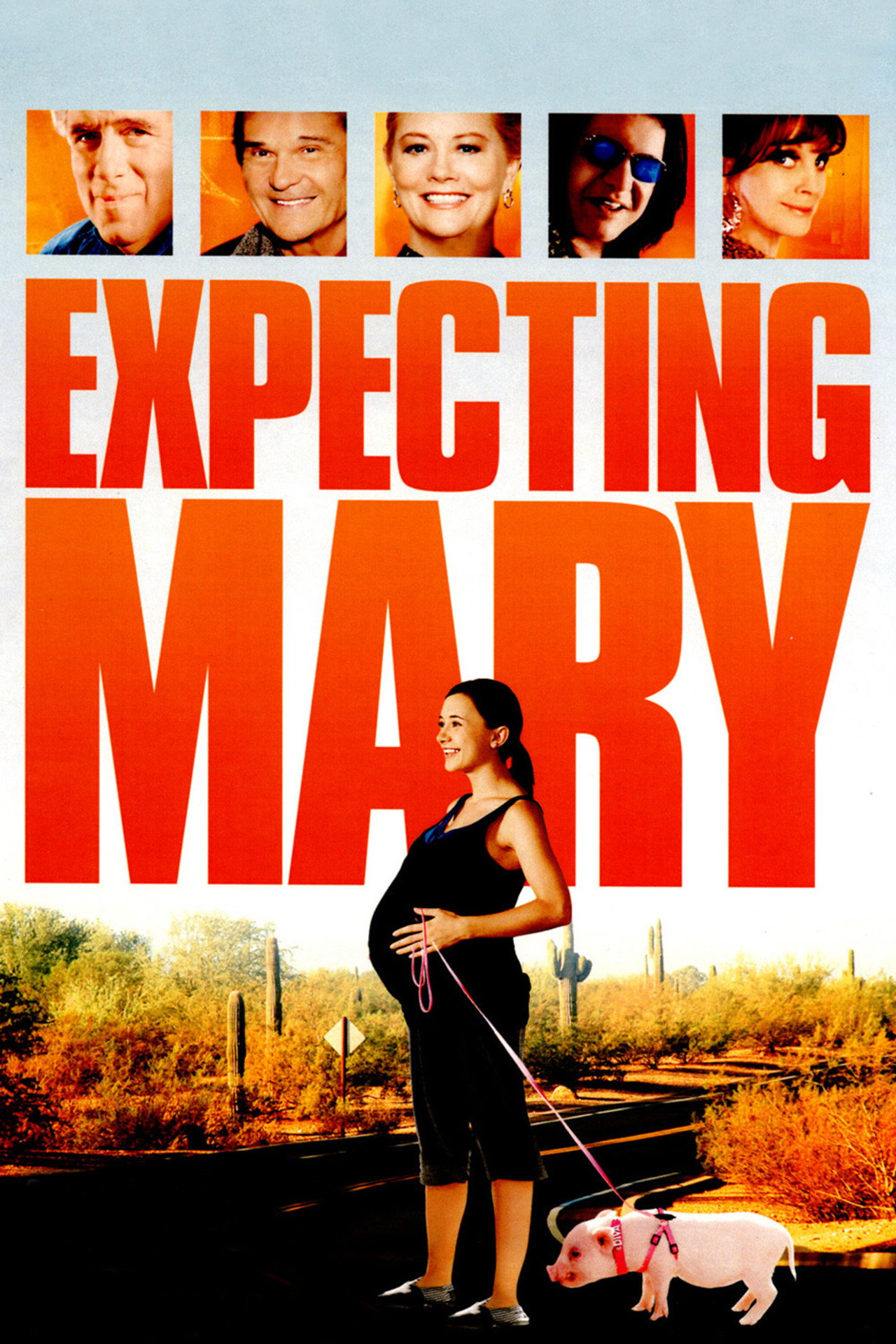 Pôster de Expecting Mary
