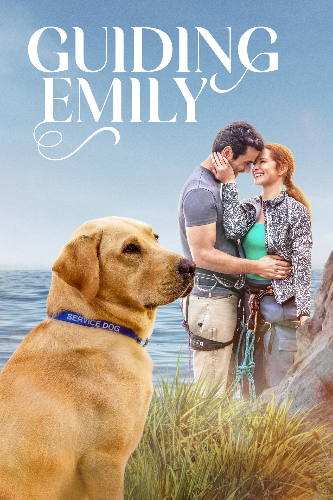 Pôster de Guiding Emily