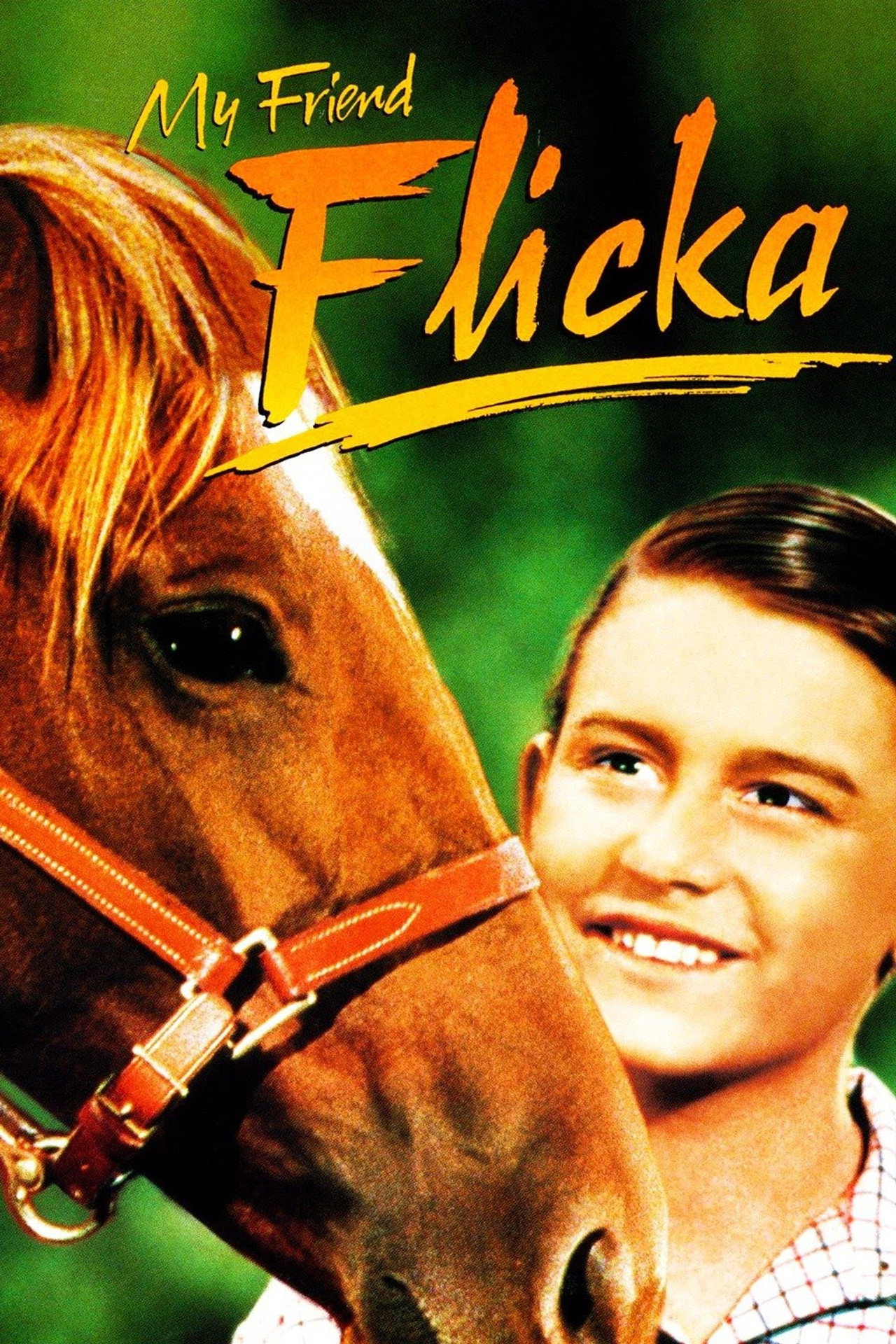 Pôster de My Friend Flicka