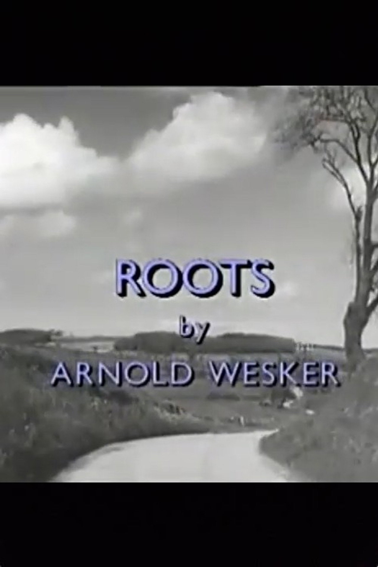 Pôster de Roots