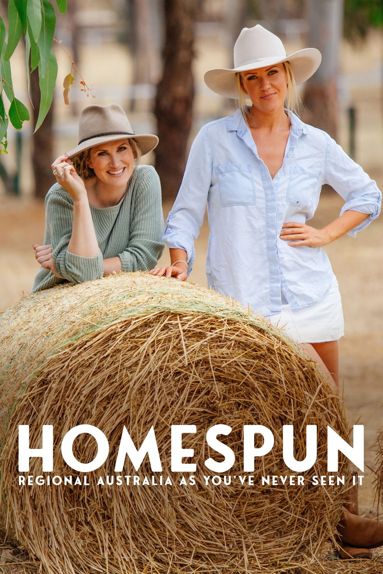 Pôster de Homespun