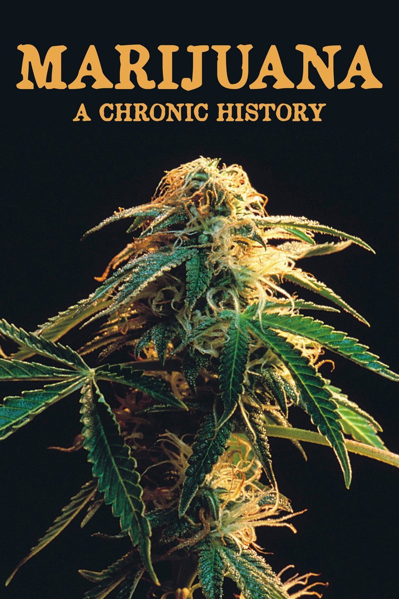 Pôster de Marijuana: A Chronic History