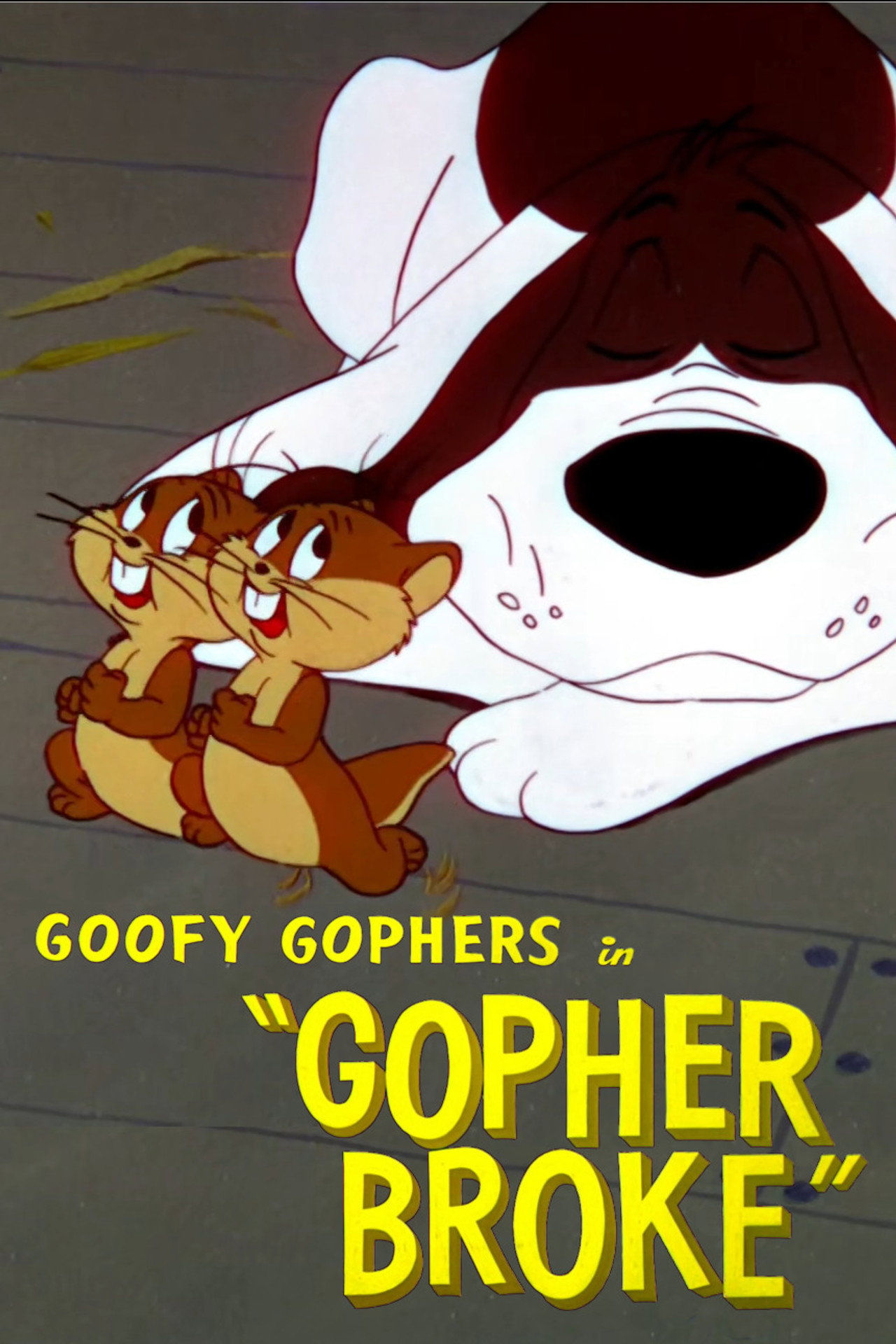 Pôster de Gopher Broke