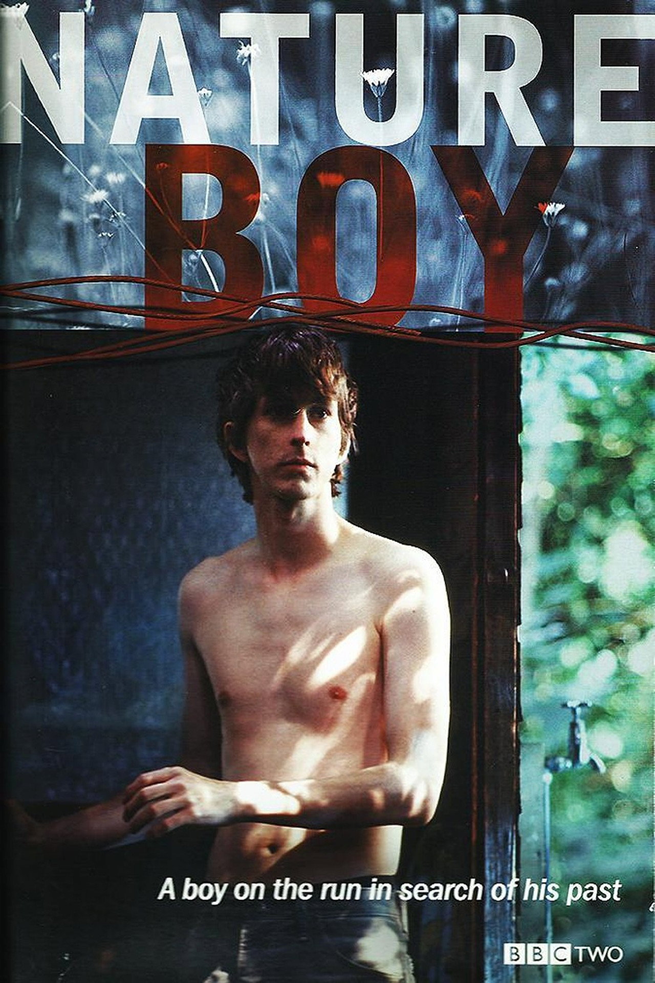 Pôster de Nature Boy