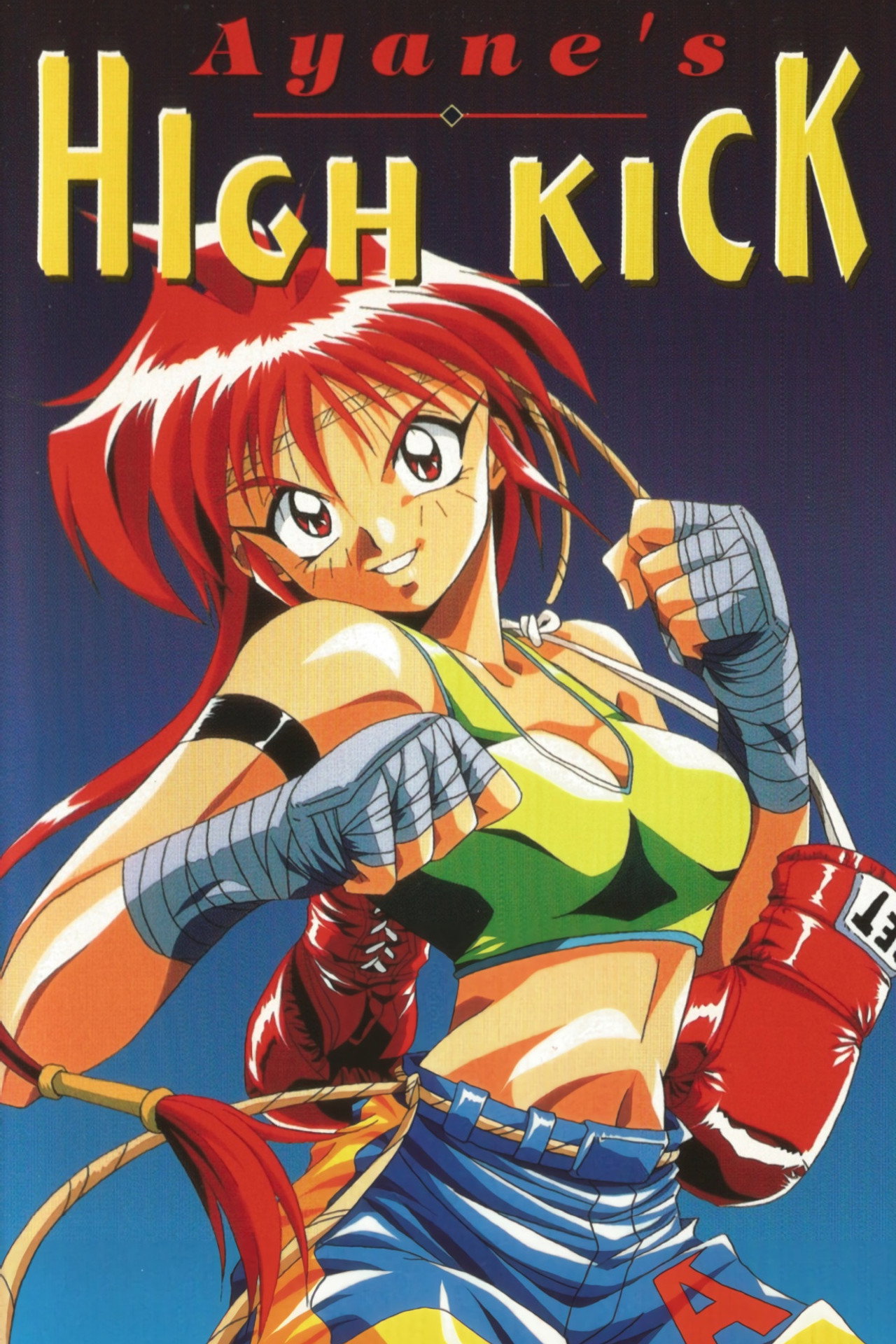 Pôster de Ayane's High Kick