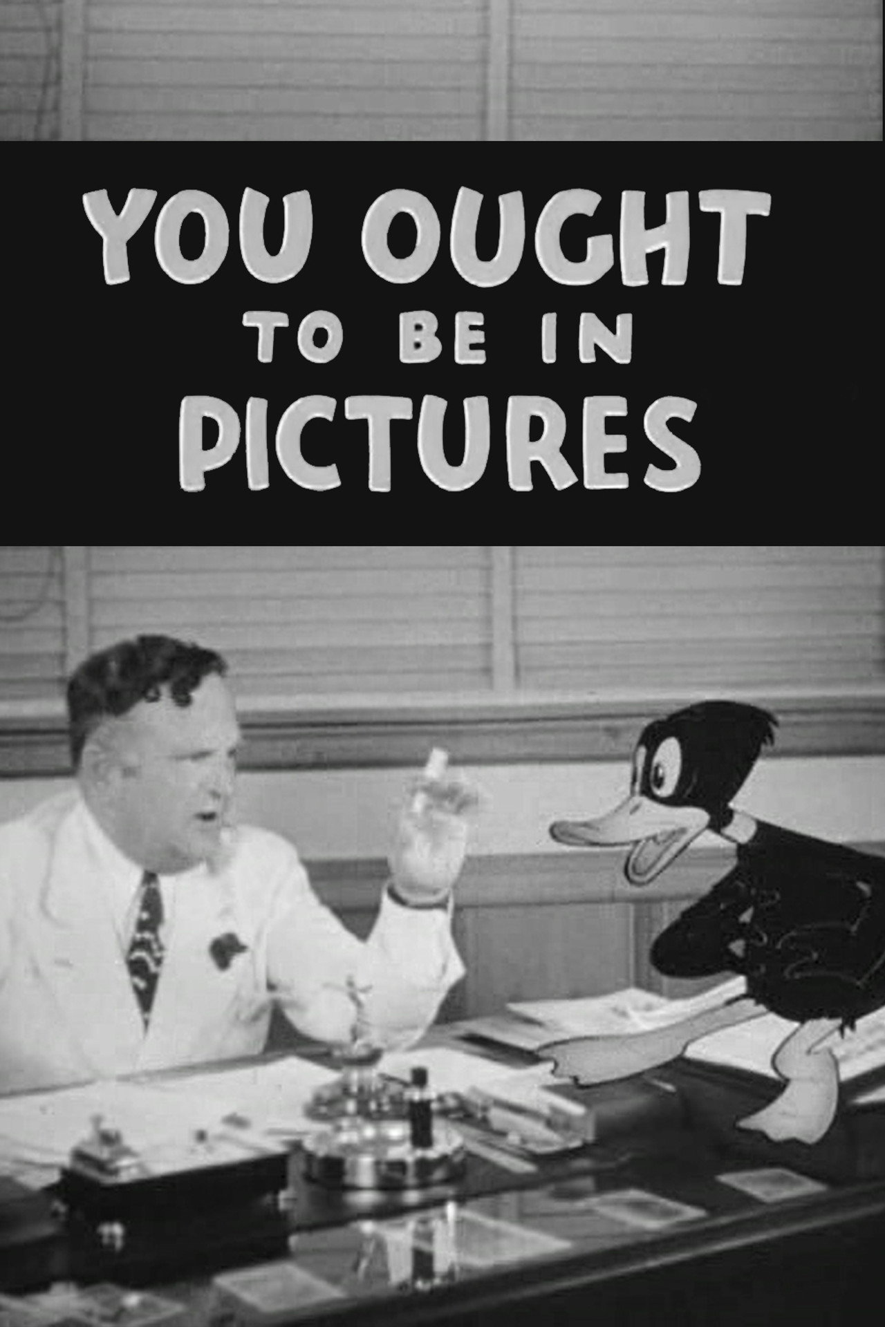 Pôster de You Ought to Be in Pictures