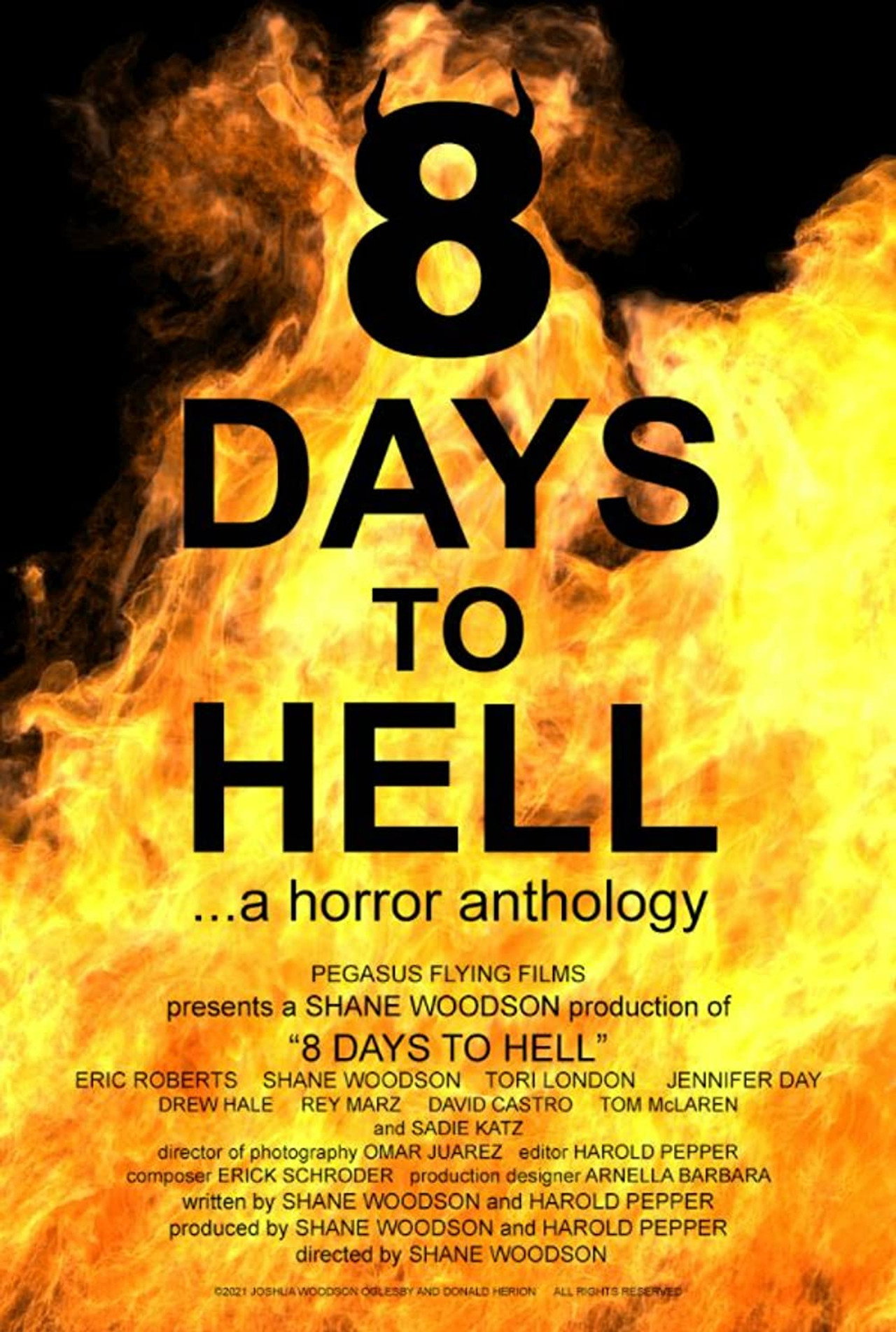 Pôster de 8 Days to Hell