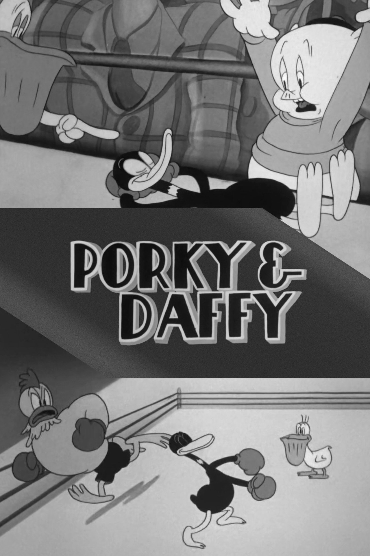 Pôster de Porky & Daffy