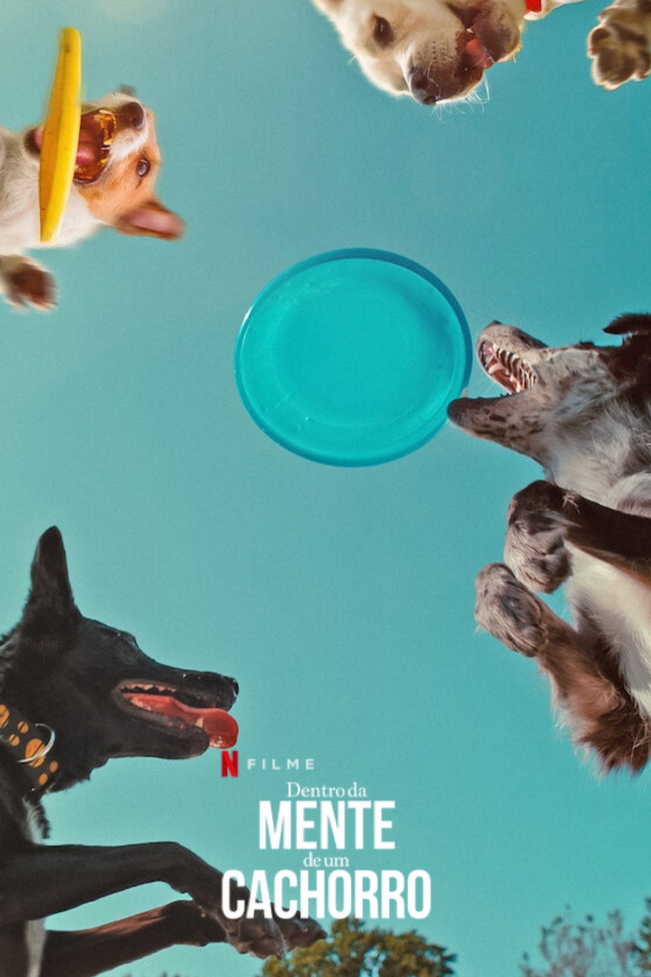 Pôster de Dentro da Mente de um Cachorro
