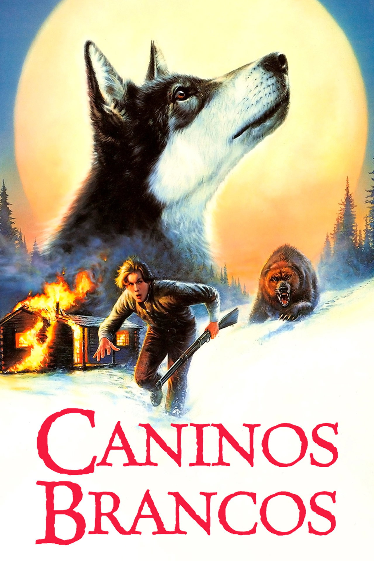 Pôster de Caninos Brancos
