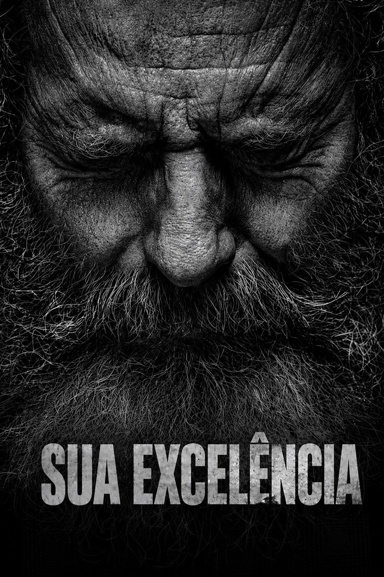 Pôster de Sua Excelência