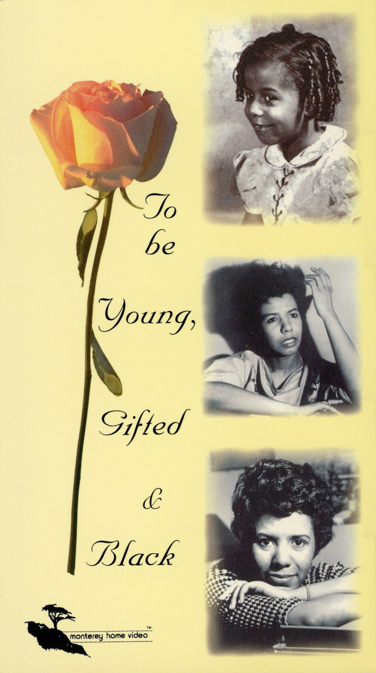 Pôster de To Be Young, Gifted and Black