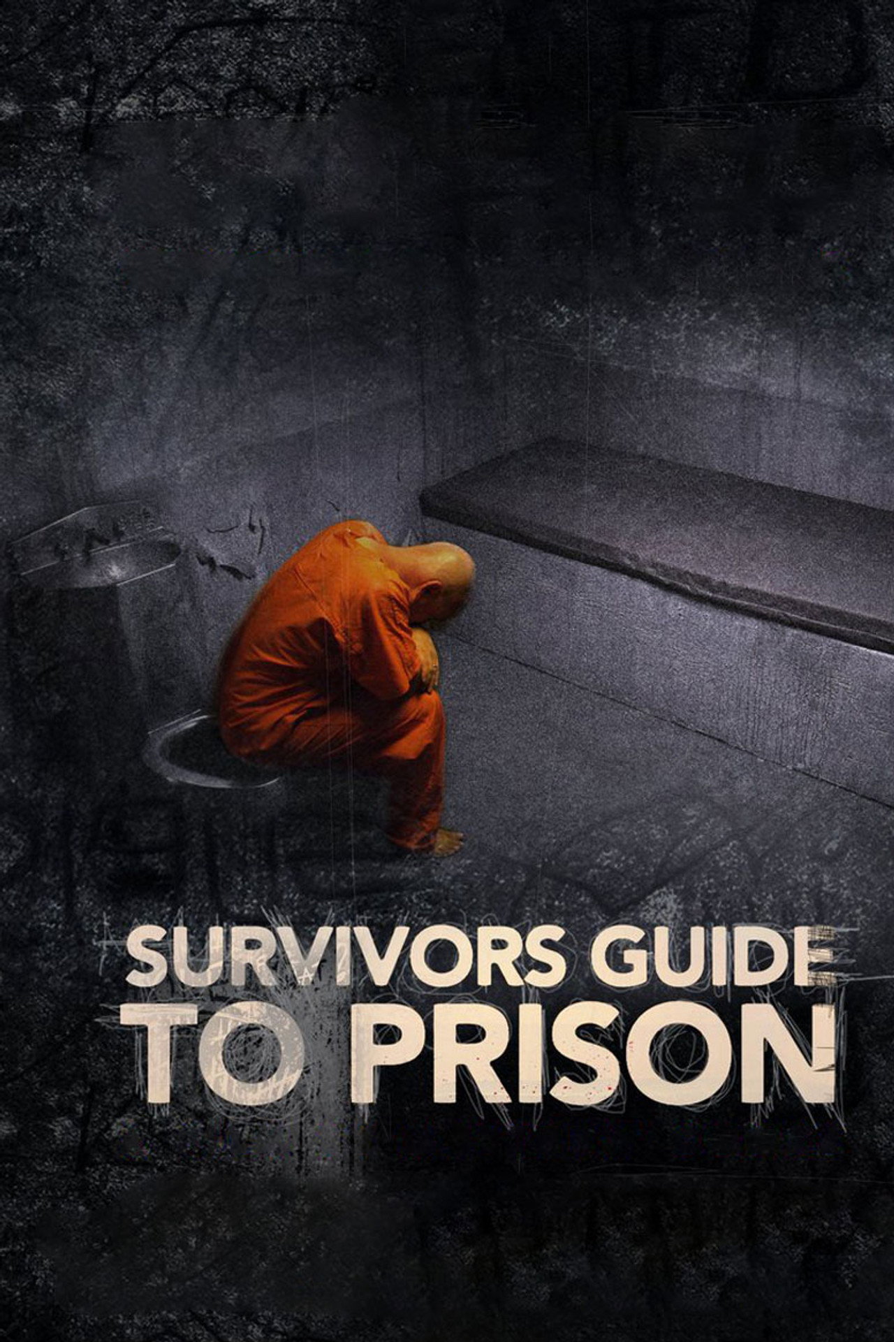 Pôster de Survivor's Guide to Prison