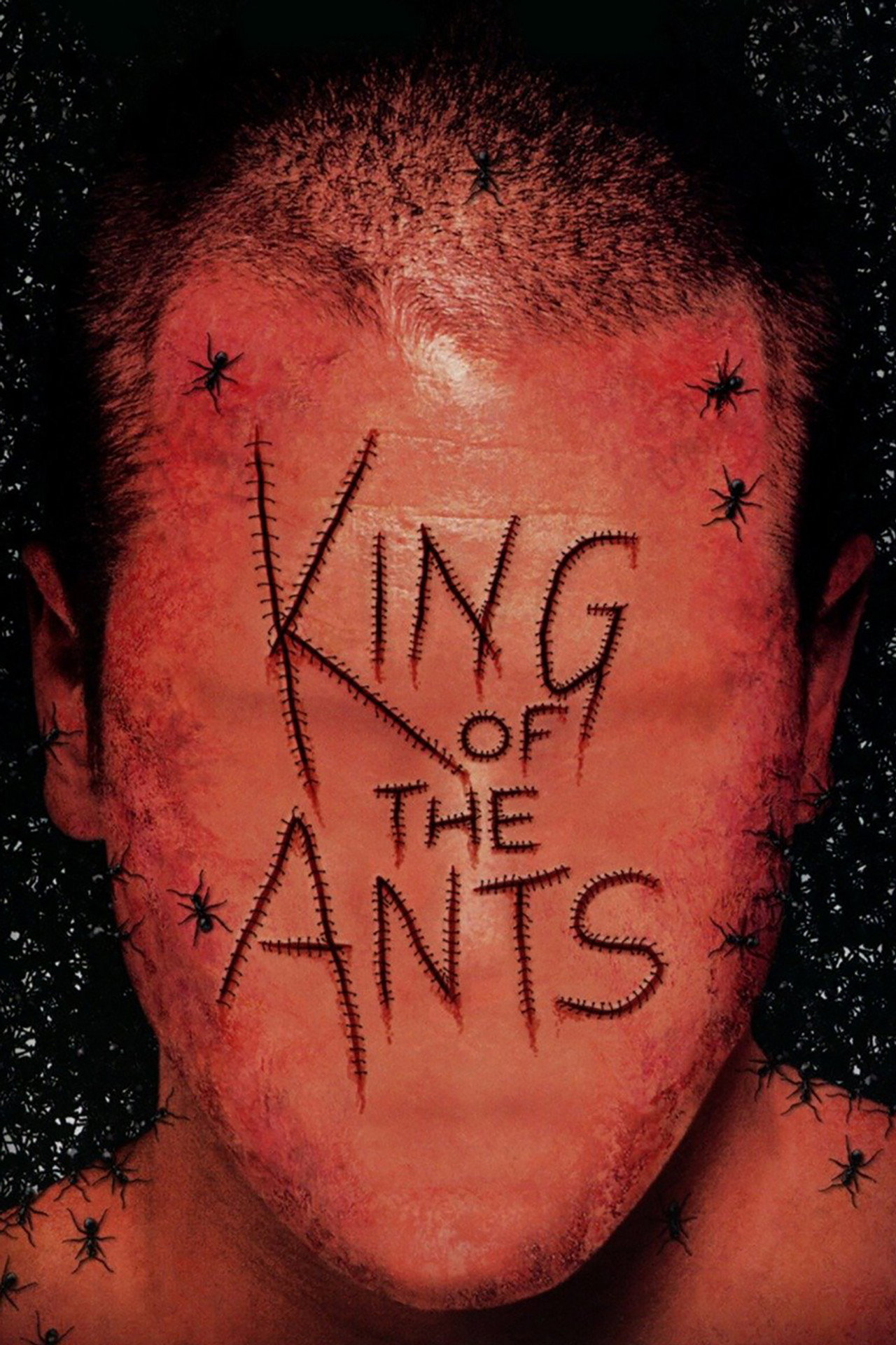 Pôster de King of the Ants