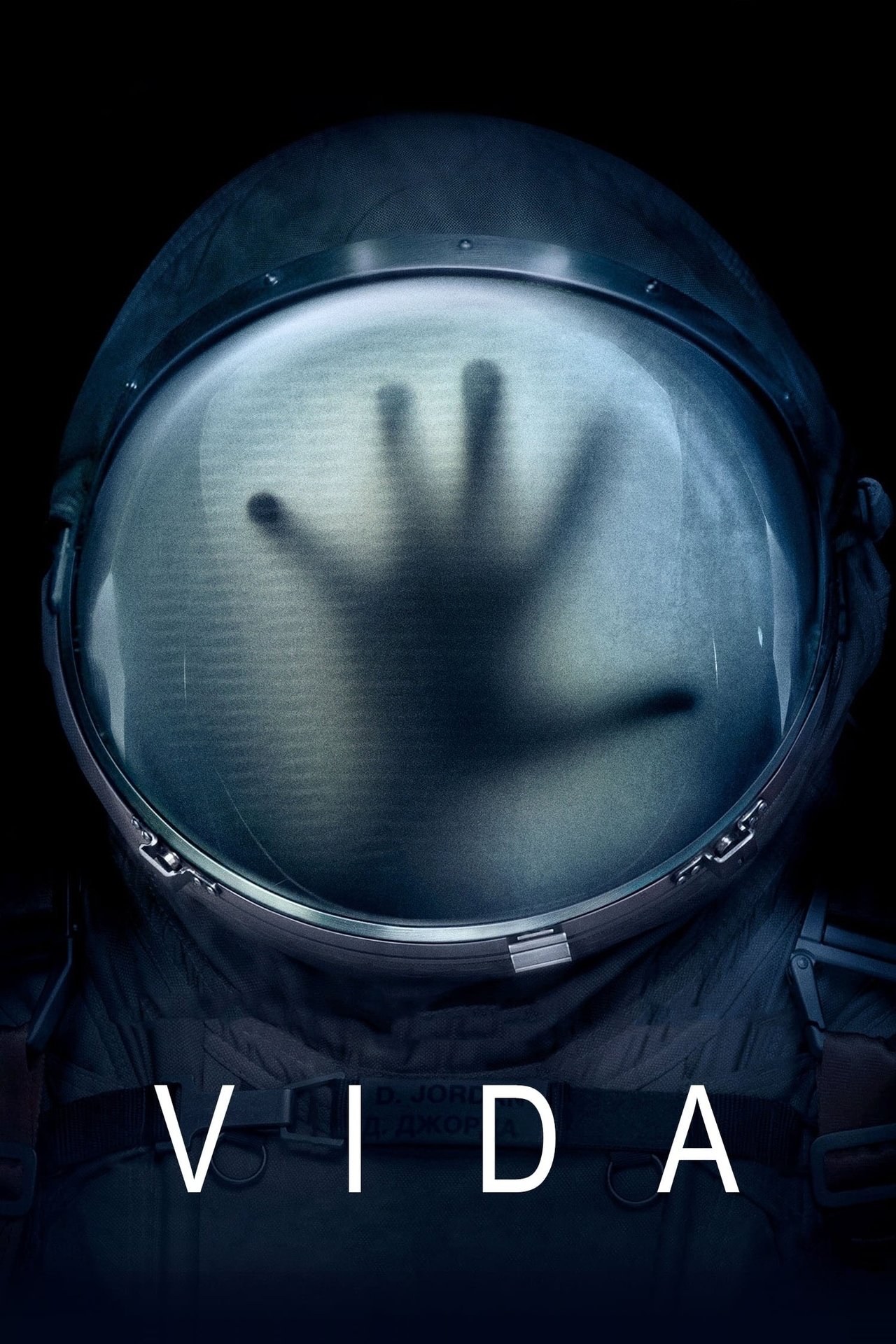 Pôster de Vida