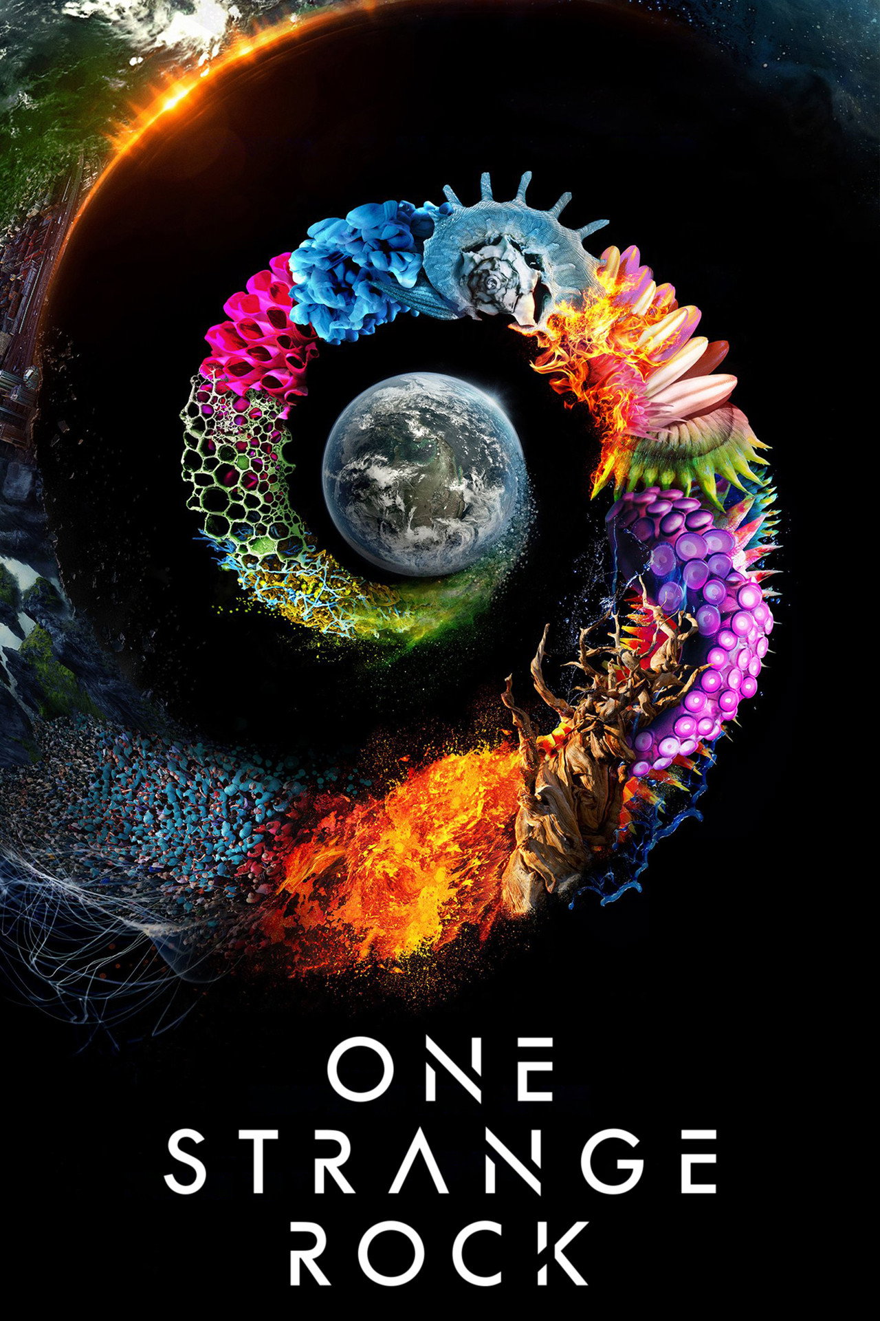 Pôster de One Strange Rock