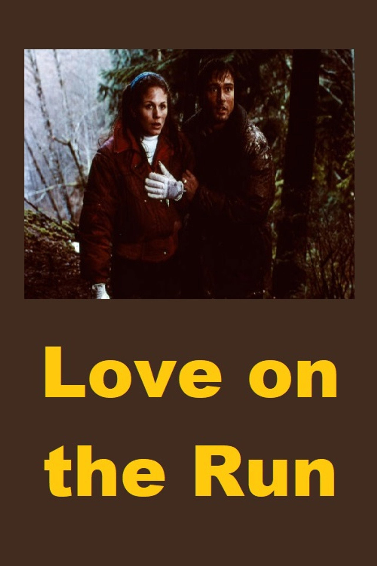 Pôster de Love on the Run