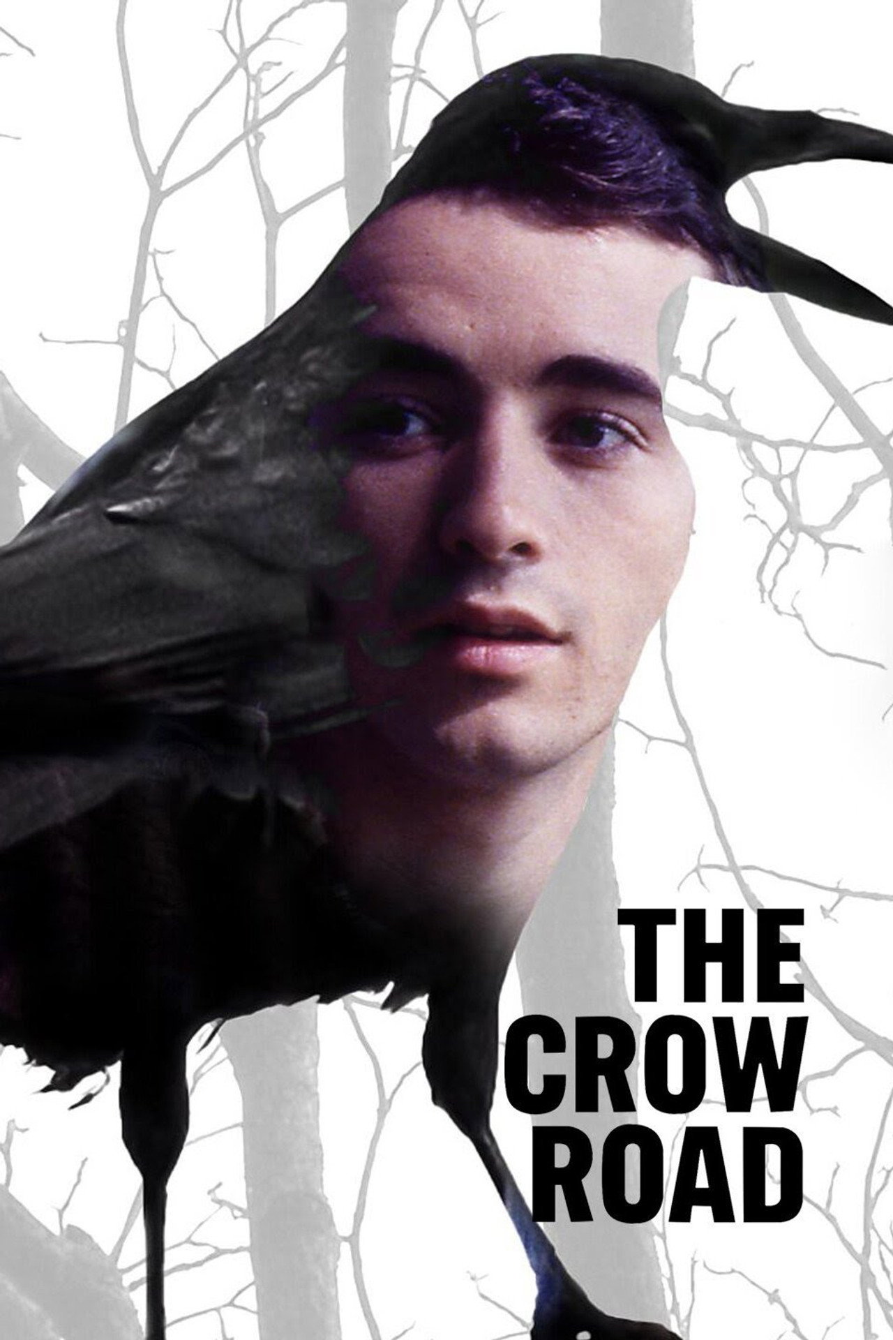Pôster de The Crow Road