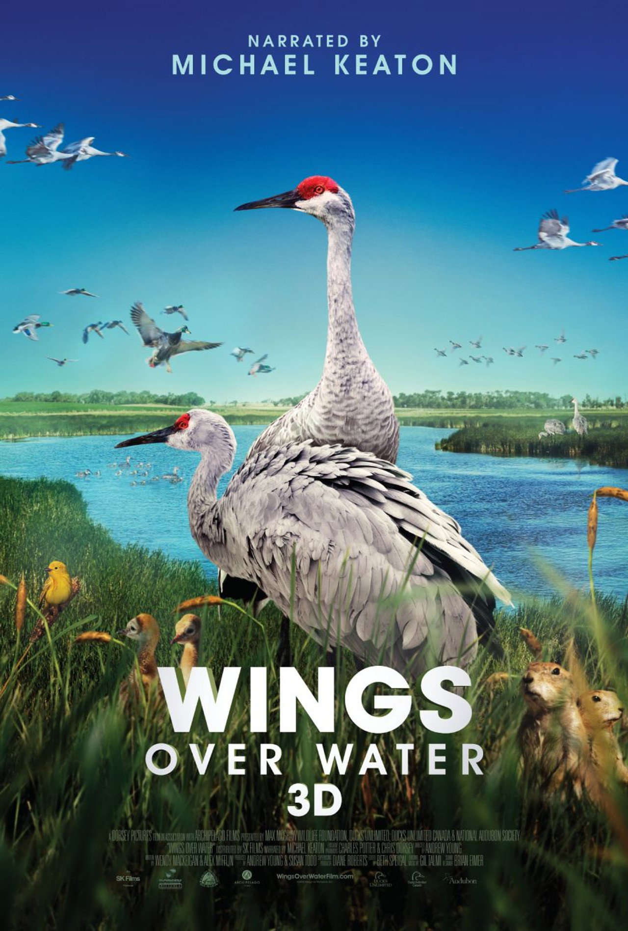 Pôster de Wings Over Water