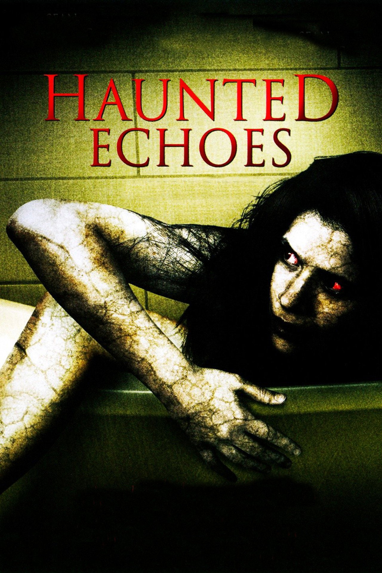 Pôster de Haunted Echoes
