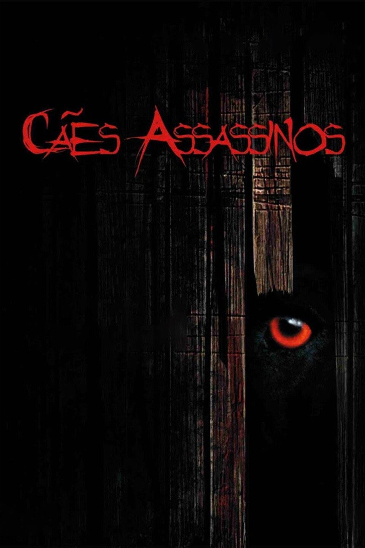Pôster de Cães Assassinos