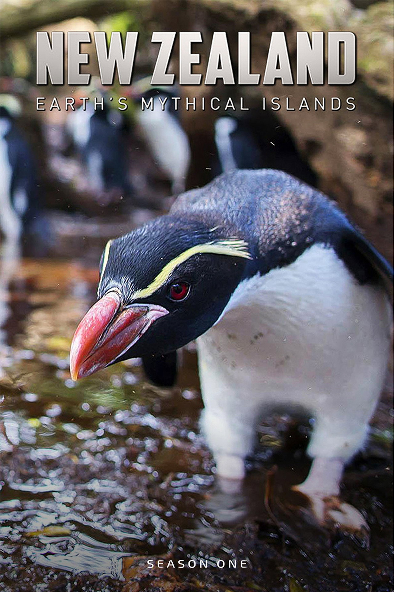 Pôster de New Zealand: Earth's Mythical Islands