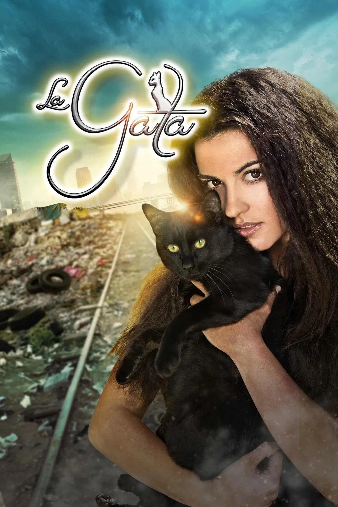 Pôster de The Stray Cat