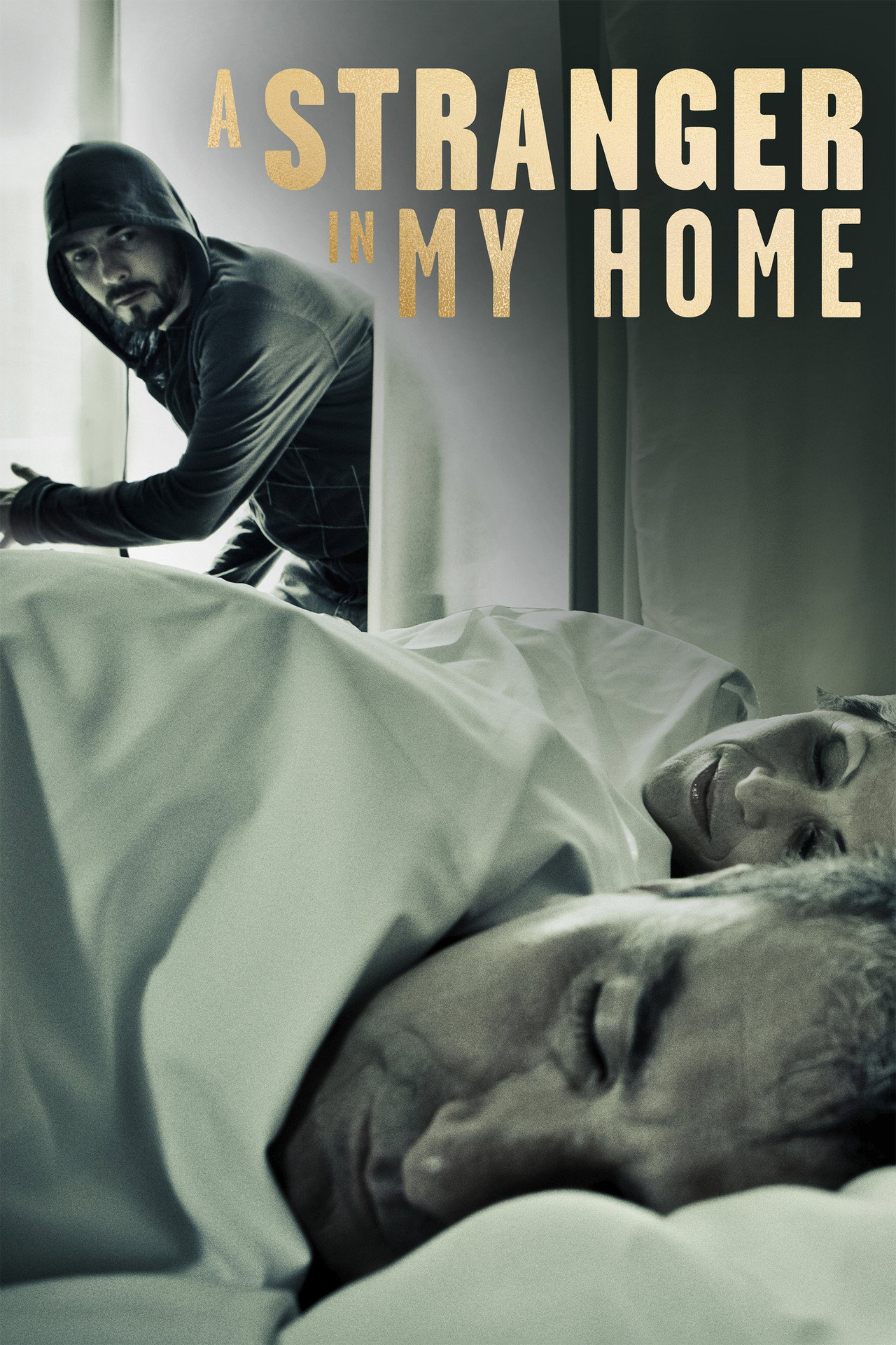 Pôster de A Stranger in My Home