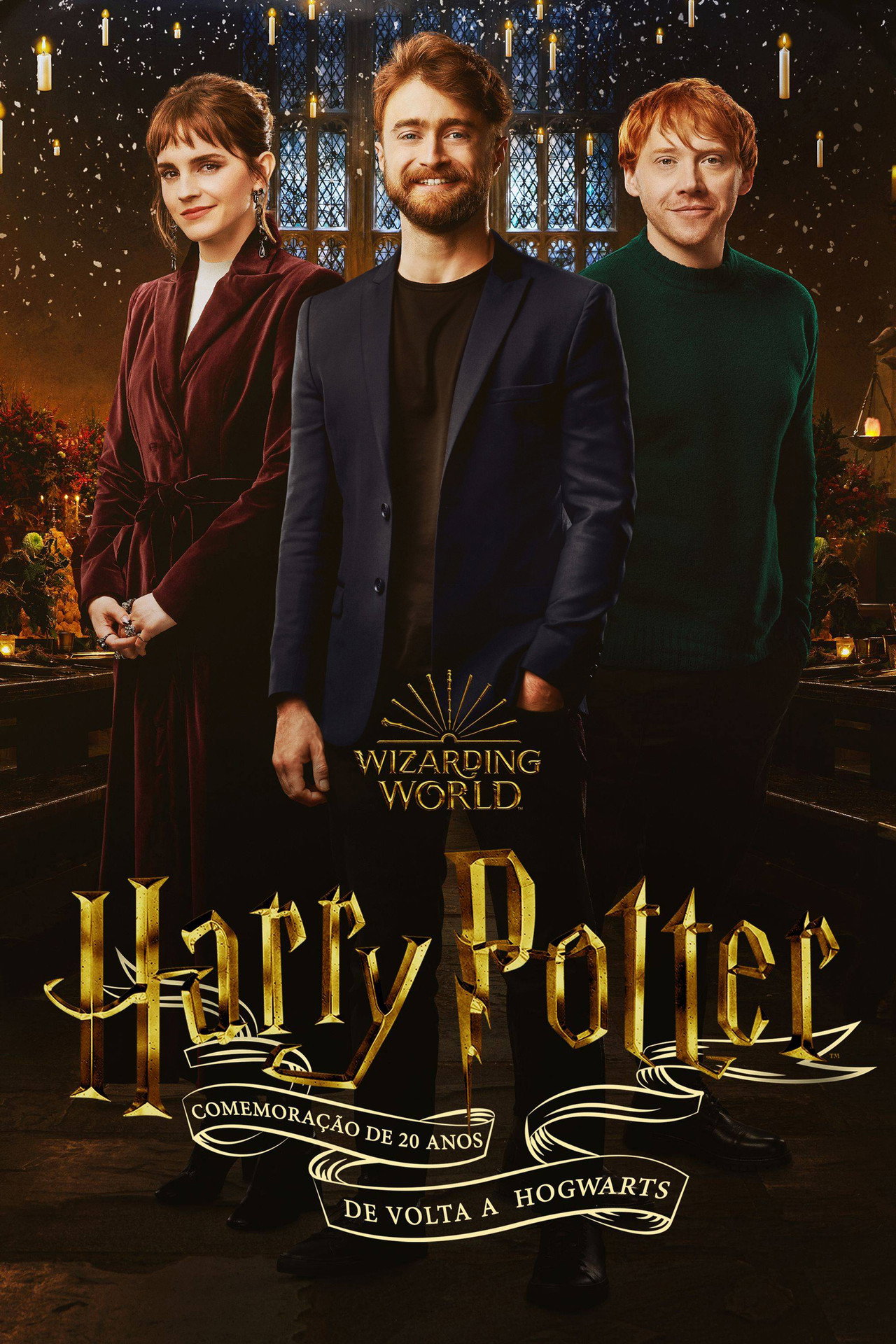 Pôster de Comemoração de 20 anos de Harry Potter: De Volta a Hogwarts