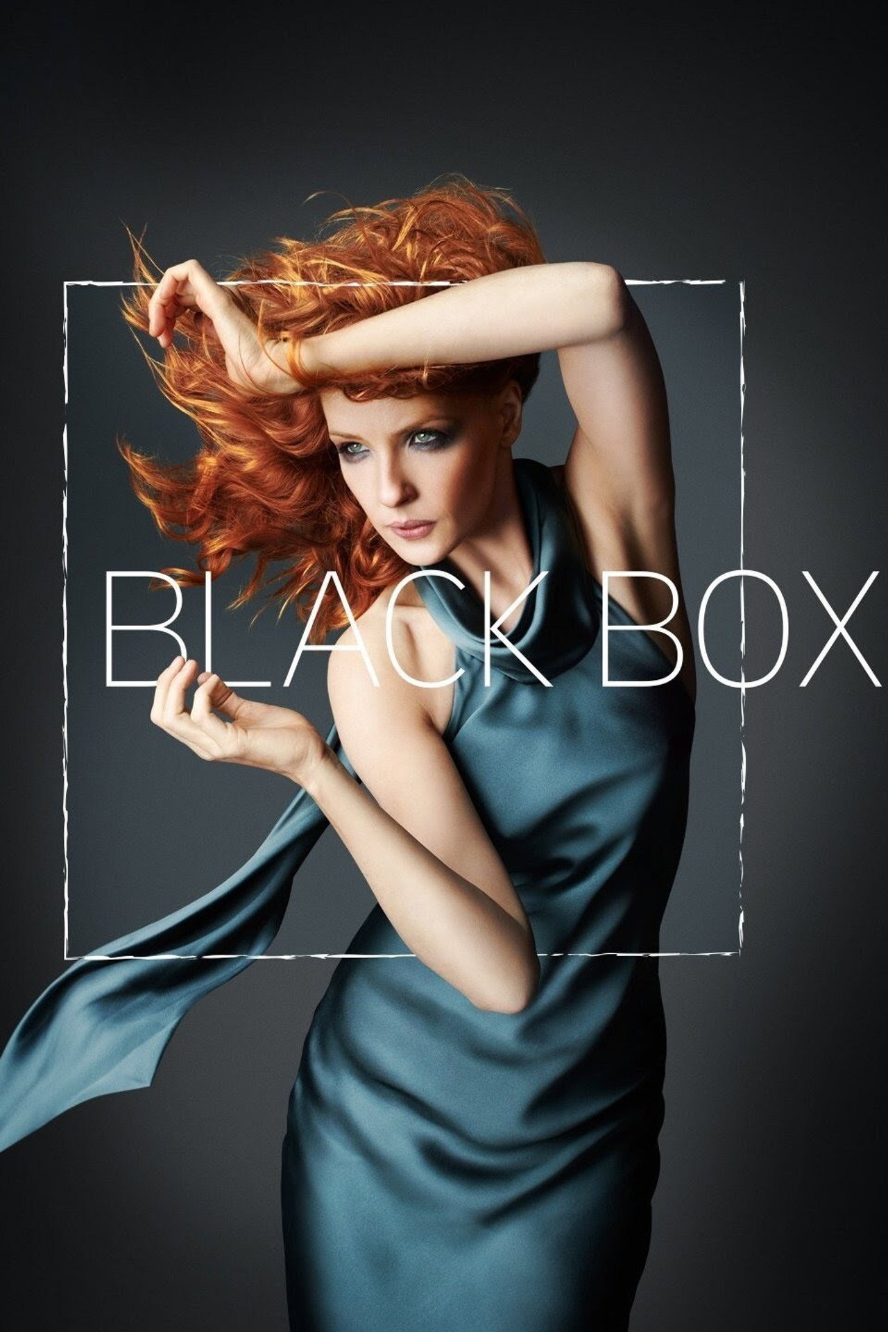 Pôster de Black Box
