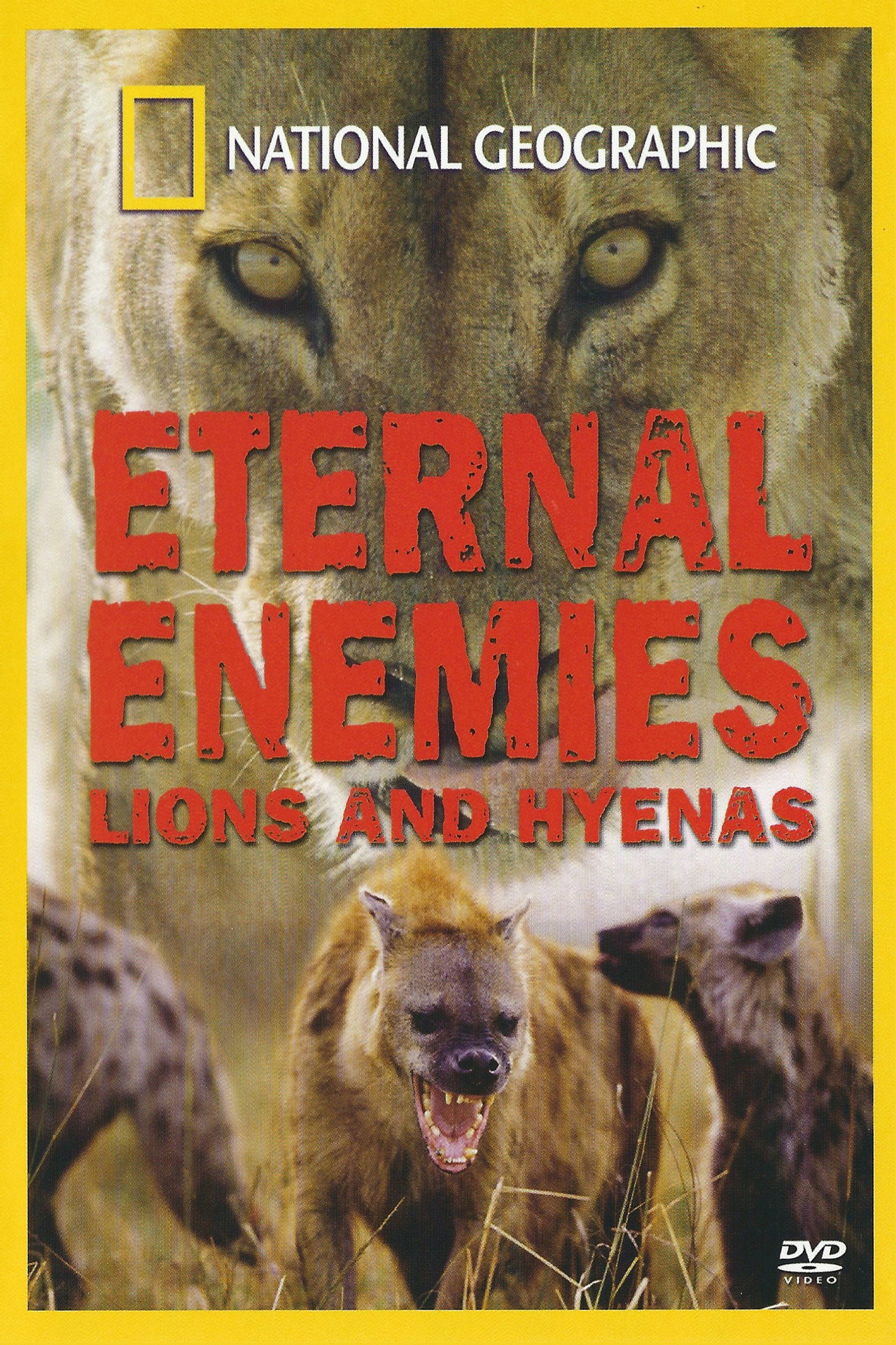 Pôster de Eternal Enemies: Lions and Hyenas