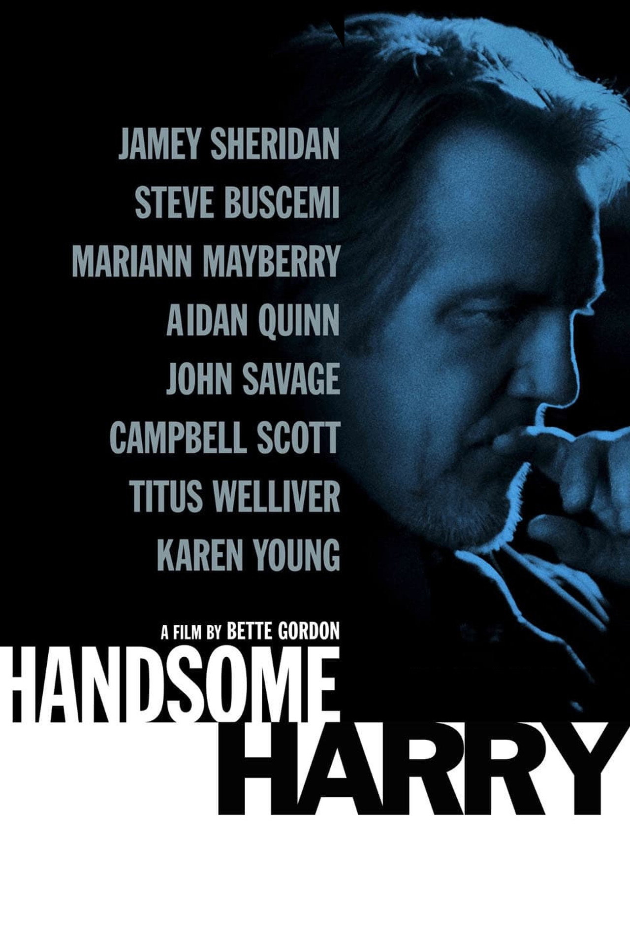 Pôster de Handsome Harry