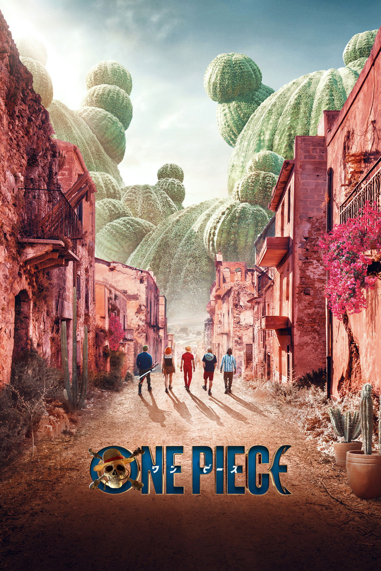 Pôster de ONE PIECE