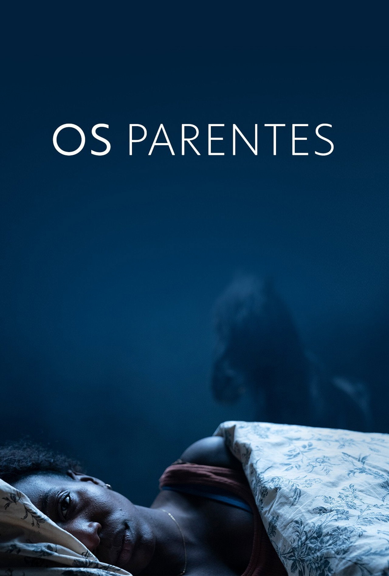 Pôster de Os Parentes