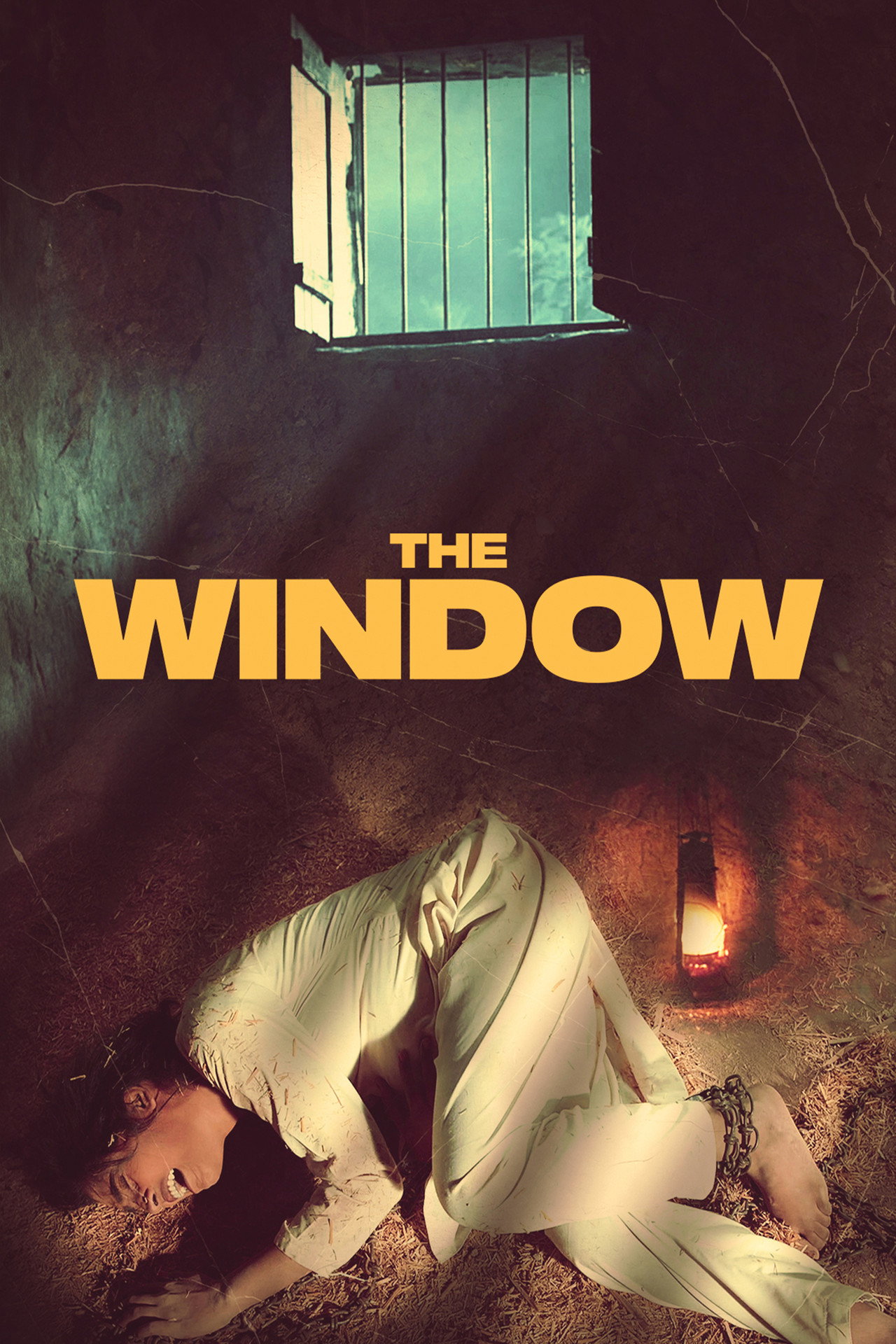 Pôster de The Window
