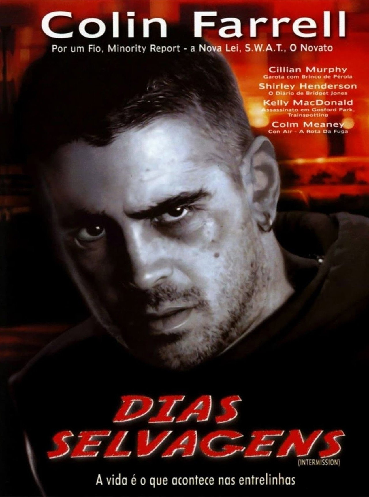Pôster de Dias Selvagens