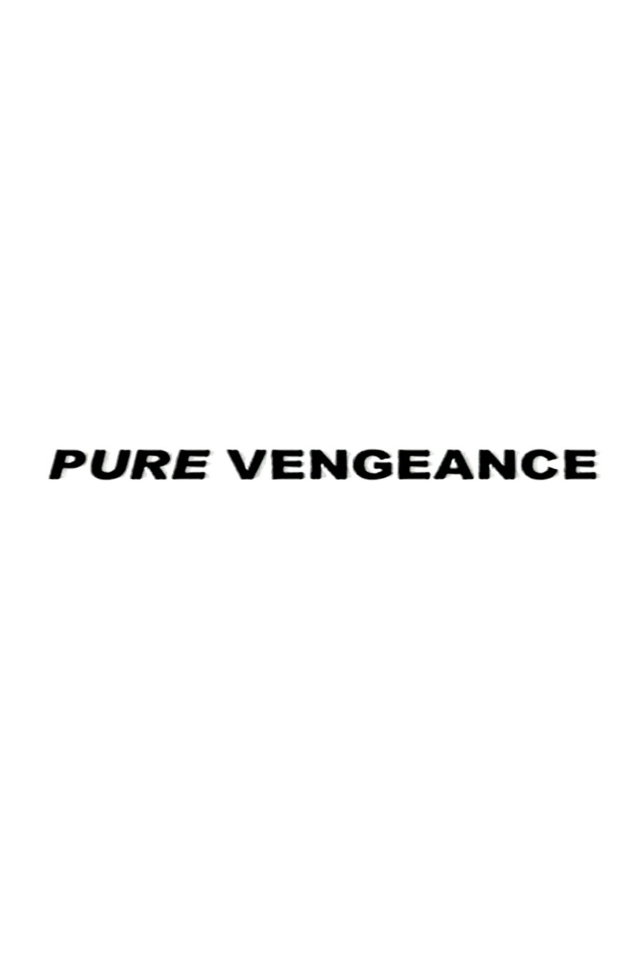 Pôster de Pure Vengeance