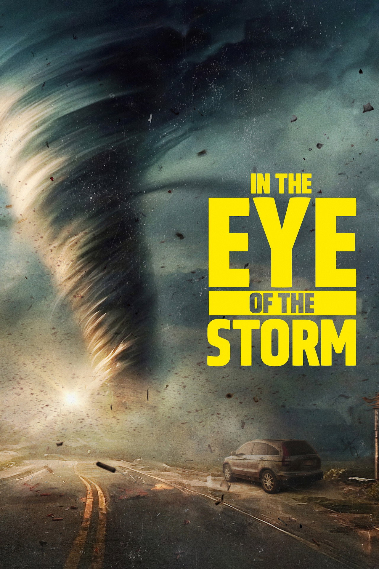 Pôster de In the Eye of the Storm