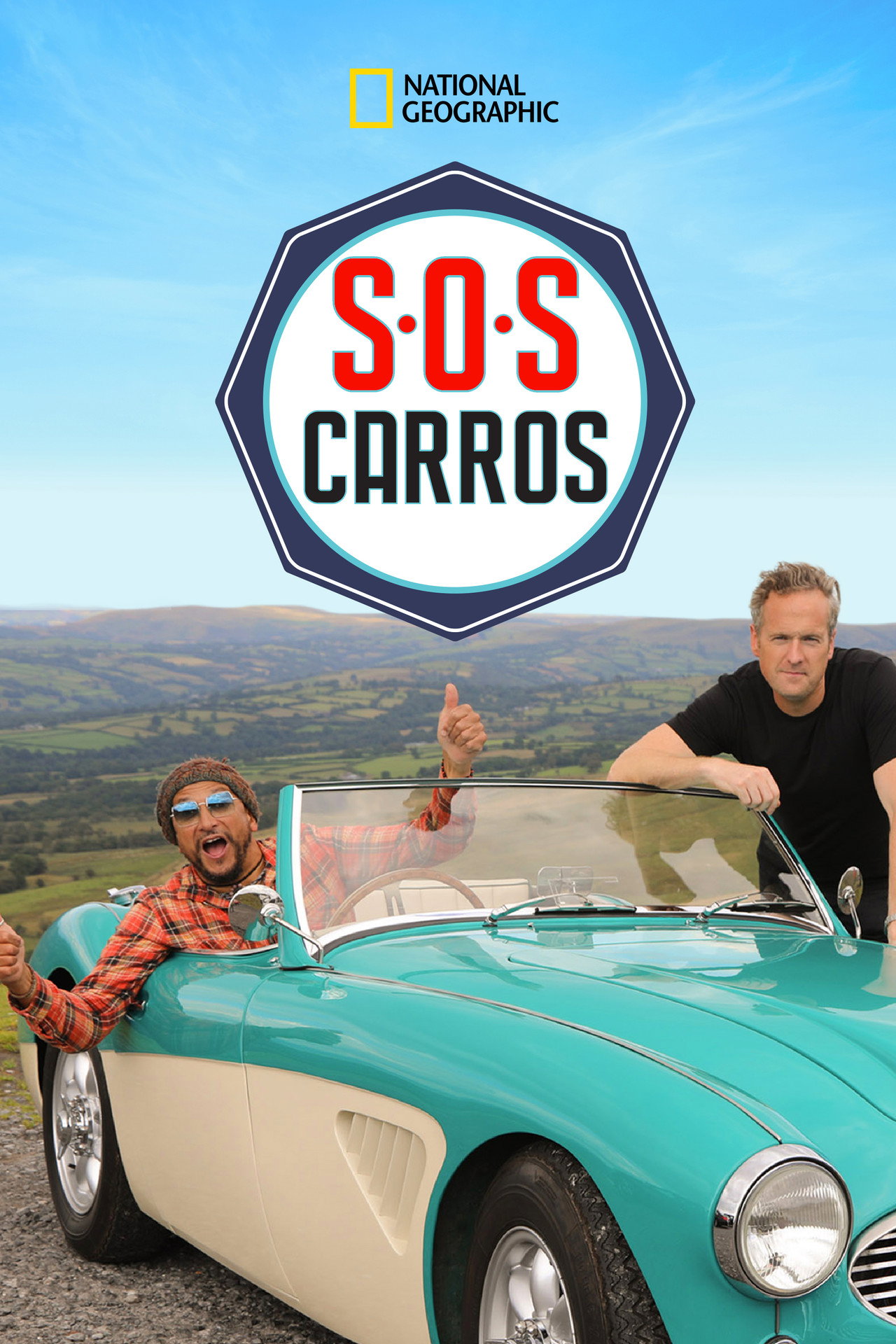 Pôster de S.O.S Carros