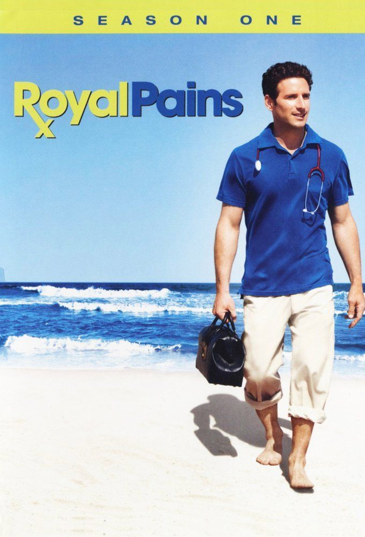 Pôster de Royal Pains