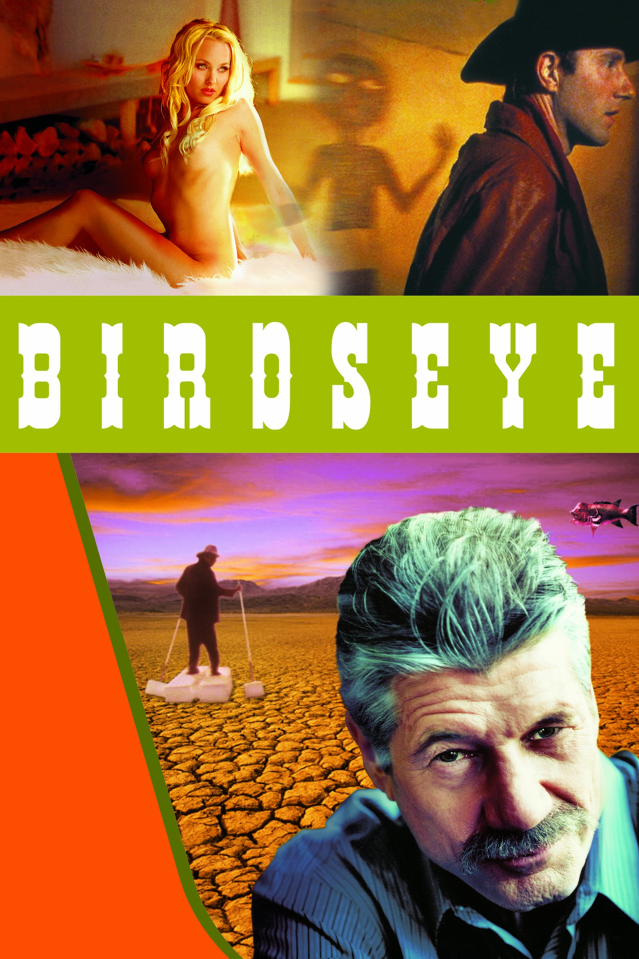 Pôster de Birdseye
