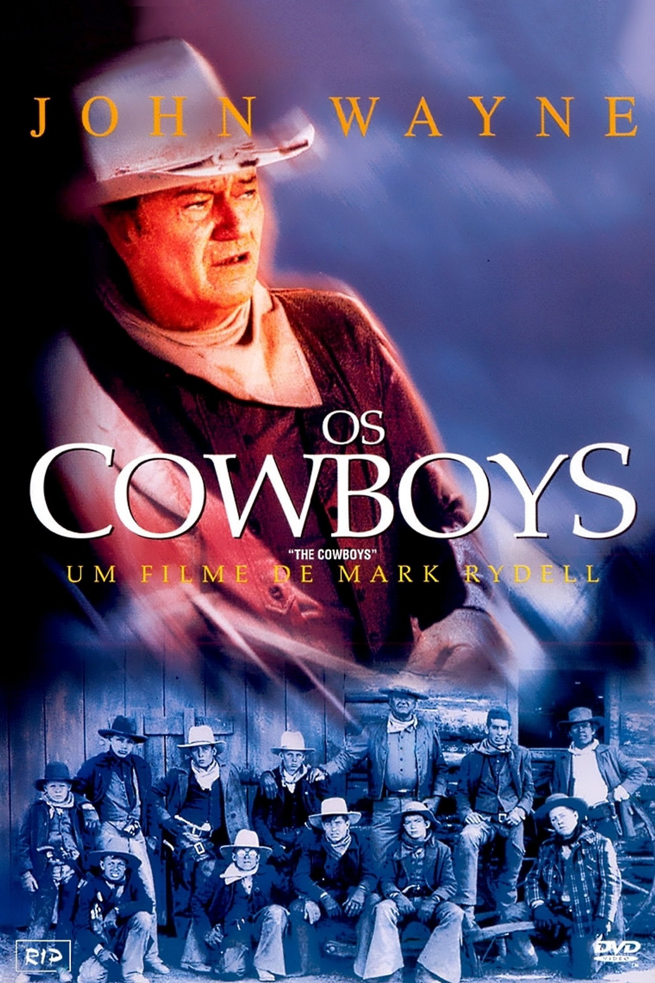 Pôster de Os Cowboys