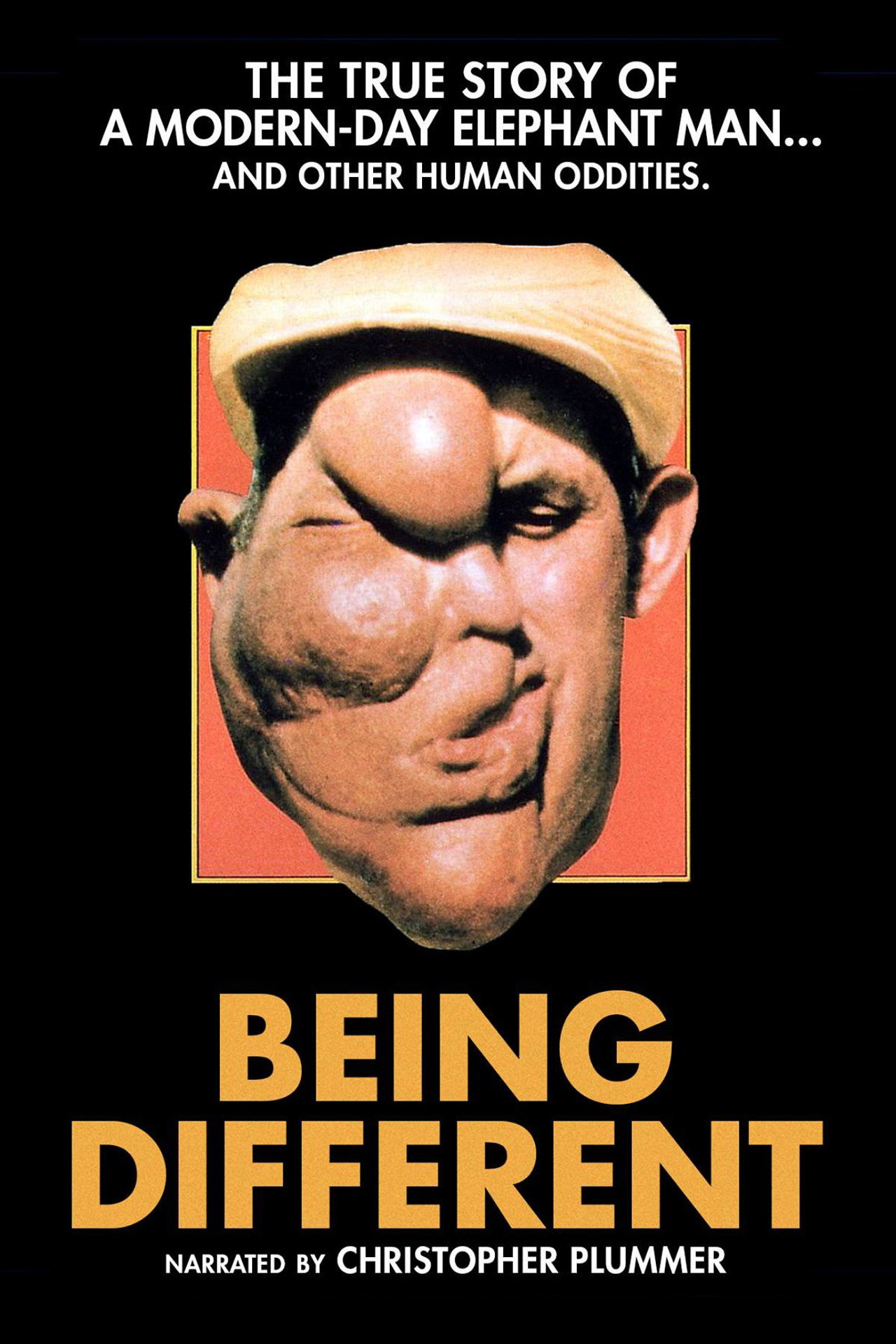 Pôster de Being Different